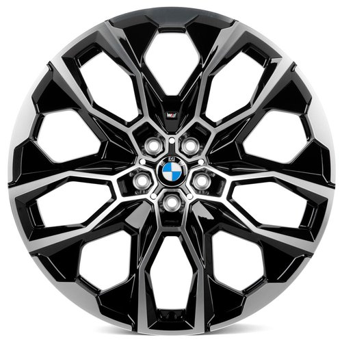 RGW BMW X7 WT-RGW578