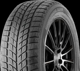 Doublestar Winterking DW09 зимние нешипованные R17 R18 R20