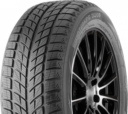 DoubleStar Winterking DW09 215/45 R17 91H нешип