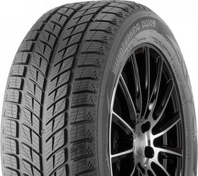 Doublestar Winterking DW09 275/40 R20 106V XL нешип