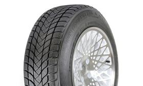 Landsail Winter Lander 175/70 R14 88T XL шип