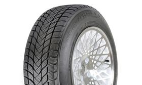 Landsail Winter Lander 185/65 R14 86H шип